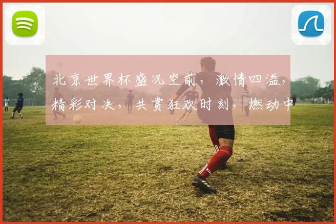北京世界杯盛况空前，激情四溢，精彩对决，共赏狂欢时刻，燃动中国